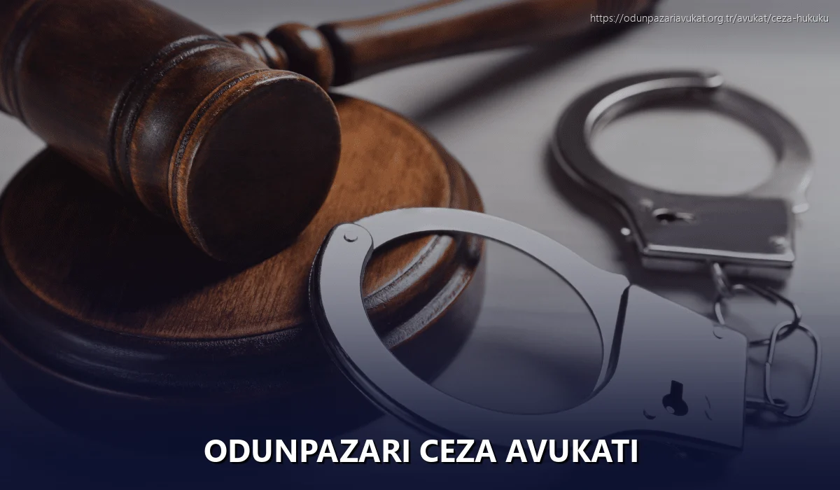 Odunpazari Ceza Avukatı