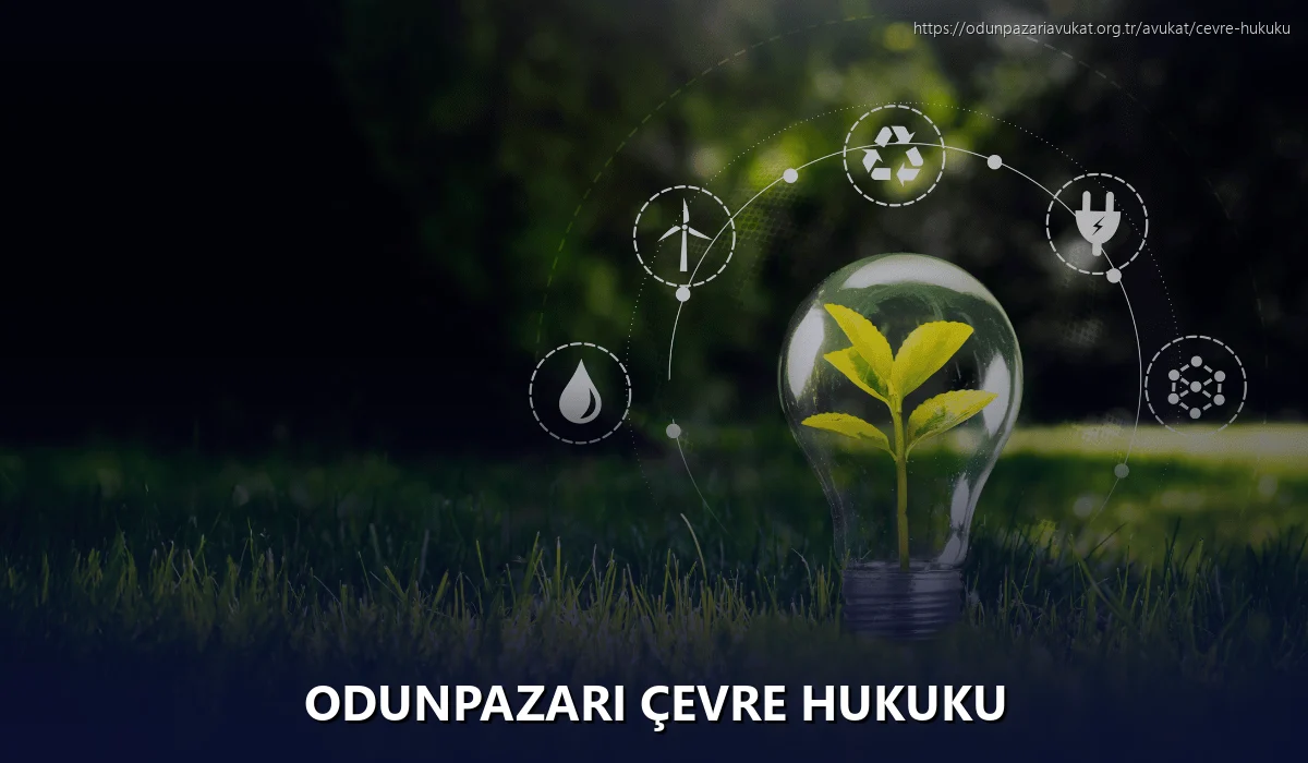 Odunpazari Çevre Hukuku