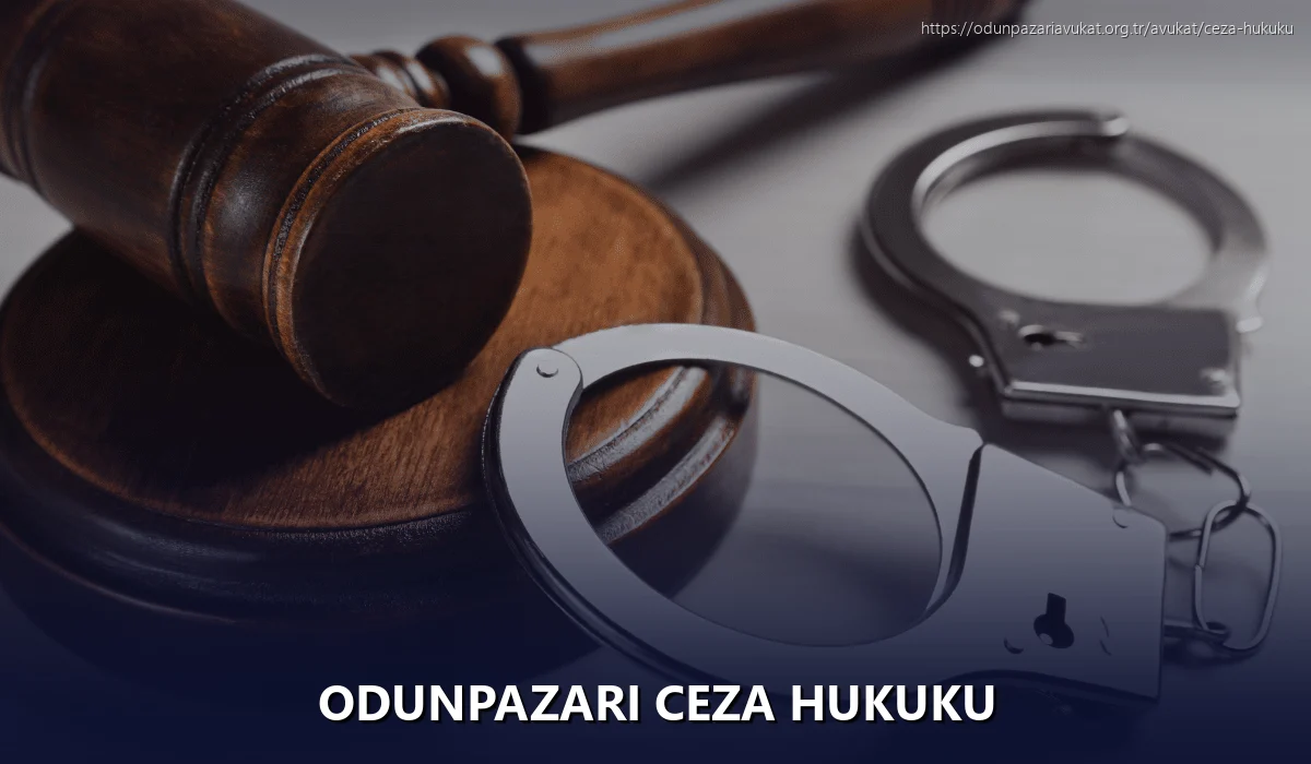 Odunpazari Ceza Hukuku